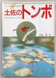 土佐のトンボ : アウトドアライフKochi