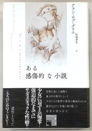 ある感傷的な小説