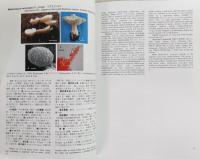 北海道産ハラタケ類の分類学的研究 : 特にザラミノシメジ属,ツエタケ属,ビロードツエタケ属,フクロタケ属,ウラベニガサ属