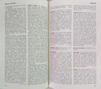 Norton Dictionary of Modern Thought