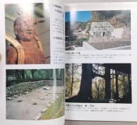 南国の歴史を歩く : 高知県南国市史跡めぐり