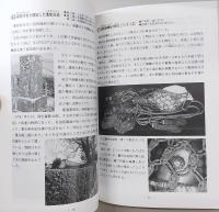 南国の歴史を歩く : 高知県南国市史跡めぐり