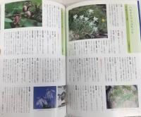 山野草タネのまき方・育て方