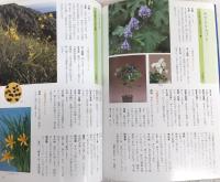 山野草タネのまき方・育て方