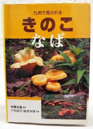 九州で見られるきのこ : なば