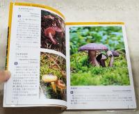 九州で見られるきのこ : なば