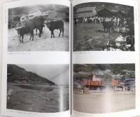 村上節太郎写真資料目録 : 白黒ブローニー版 : 愛媛県西宇和地域 (八幡浜市、伊方町、西予市三瓶町)