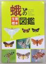 蛾の生態標本図鑑