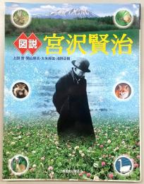 図説宮沢賢治
