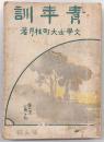 青年訓