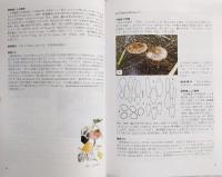 石狩砂丘と砂浜のきのこ = Mushrooms of Ishikari sand dunes in Hokkaido, Northern Japan