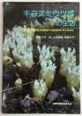 キヨスミウツボの生活 : 神戸市西区押部谷町木見新池での保全のとりくみから