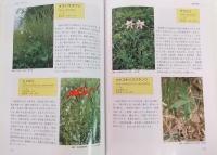 高知県レッドデータブック[植物編] : 高知県の絶滅の恐れのある野生生物