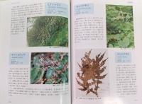 高知県レッドデータブック[植物編] : 高知県の絶滅の恐れのある野生生物
