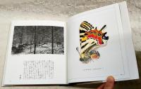 安曇野の蝶 : 山の絵本