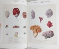 きのこ絵 = MUSHROOM BOTANICAL ART
