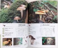 よくわかるきのこ大図鑑 : 場所・かさ・柄・胞子