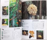 よくわかるきのこ大図鑑 : 場所・かさ・柄・胞子