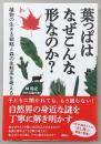 葉っぱはなぜこんな形なのか？　植物の生きる戦略と森の生態系を考える