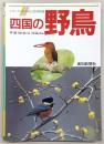 四国の野鳥