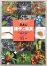 草木の種子と果実 : 形態や大きさが一目でわかる植物の種子と果実632種