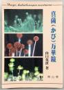 真菌(かび)万華鏡