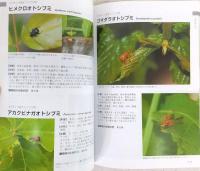 昆虫好きの生態観察図鑑　Ⅰ・Ⅱ　2冊揃い