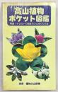 高山植物ポケット図鑑 : 写真・イラストで名前がひと目でわかる　<別冊・趣味の山野草>