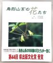 鳥形山系の花たち