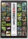 昆虫探検(エクスプローラ)図鑑1600