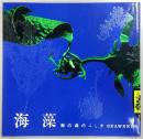 海藻 = SEAWEEDS : 海の森のふしぎ
