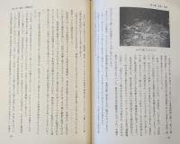 夜須町史　続編　(高知県香美郡夜須町)