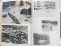 日高村史　(高知県)