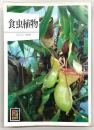 食虫植物