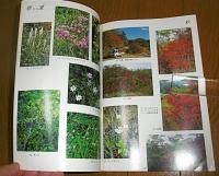 日高村槙山の植物　第11別