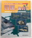 四国の海釣り : 航空写真で見るbest fishing point