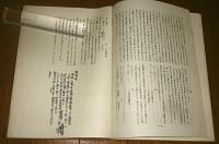 細川田村村城館と守護代