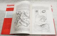 Volcanoes and Tectonosphere 　（洋書：英語 題名：火山と構造圏）