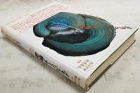 メリュジーヌ物語 : 母と開拓者としてのメリュジーヌ