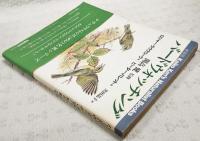 バードウォッチング