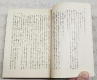 迷路　上下巻　　全2冊揃い　（岩波文庫）