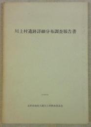 川上村遺跡詳細分布調査報告書　(長野県)