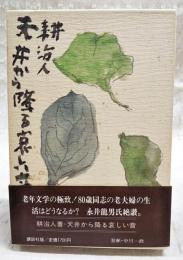 天井から降る哀しい音