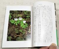 春の草木/夏の草木/秋の草木/冬の草木　4冊セット