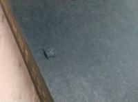 生命の実相 : 生長の家聖典　全20巻揃い