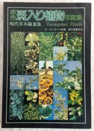 斑入り植物写真集 : 原色 現代草木錦葉集
