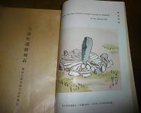 大湯町環状列石 : 秋田県鹿角郡大湯町所在　