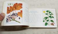 原色 春の野外植物／夏の野外植物／秋の野外植物　全3冊セット