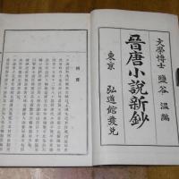 晉唐小説新鈔