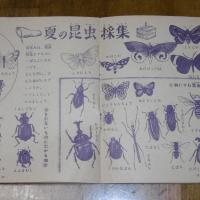 たのしい夏の理科教室　(昭和27年・四年の学習・八月号付録)